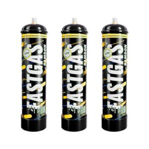 Palette FastGas Raisin 670 g de N₂O alimentaire